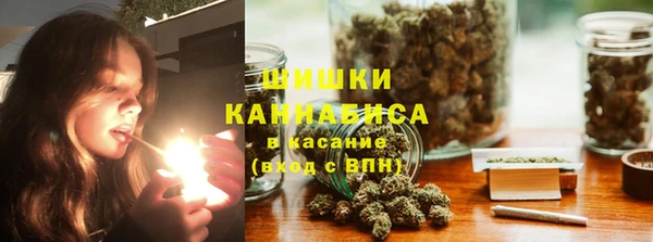 гидра Магас