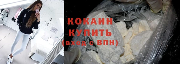 гидра Магас