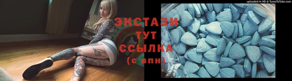 гидра Магас