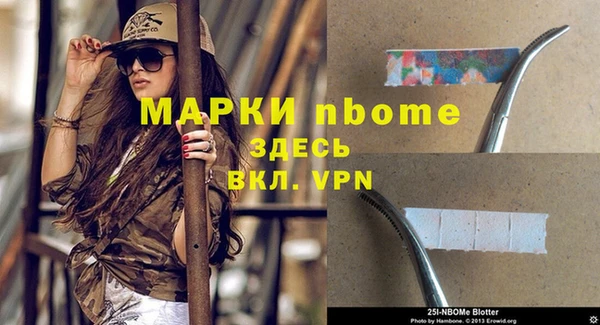 молекула духа Магадан