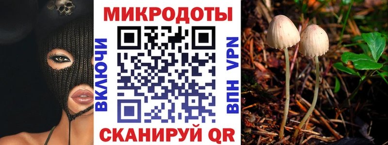 Псилоцибиновые грибы Cubensis  купить наркоту  Шали 