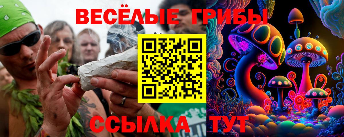 Галлюциногенные грибы Psilocybe Шали
