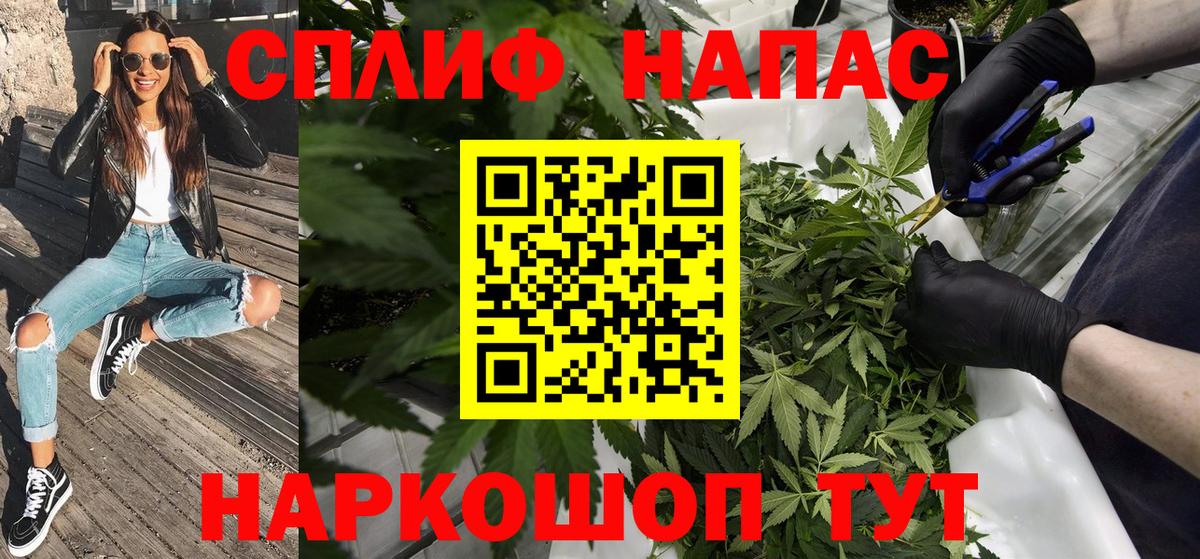 Марихуана планчик  Вход с VPN  Шали  Бошки марихуана White Widow  Марихуана OG Kush 